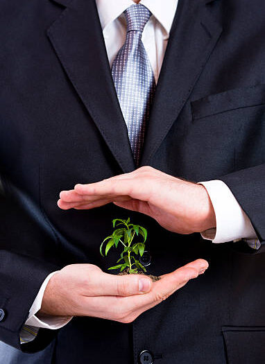 Man protecting a plant in his hand detail